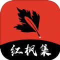 已满十八岁在线播放电视剧大全软件APPAPP应用
